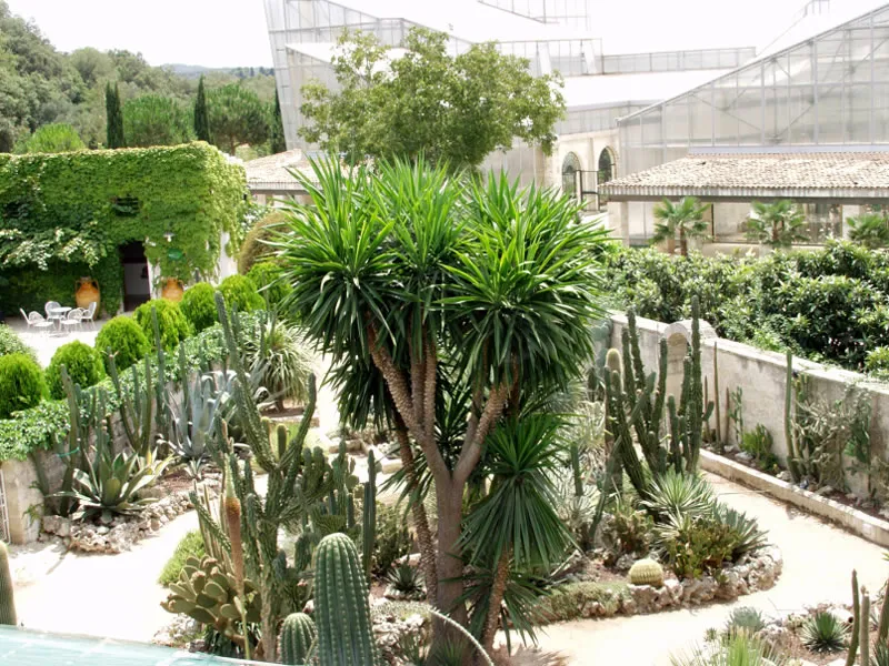 La Cutura Giardino Botanico 2 la cutura