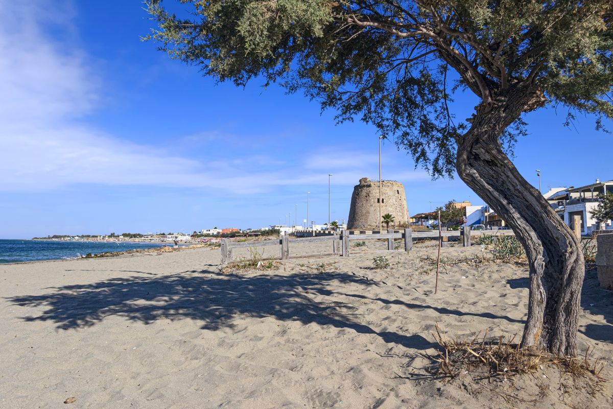 Spiaggia di Torre Mozza 10 spiaggia torre mozza (2)